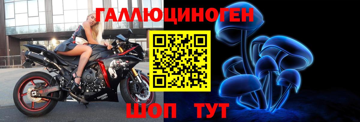 Псилоцибиновые грибы GOLDEN TEACHER  Вход с VPN  Псилоцибиновые грибы Psilocybe  Кудымкар 